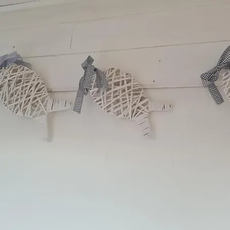 Maison Typique Royannaise Dans Un Quartier Calme * Royan